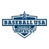 ugly-guppy-logos-Baseball-USA